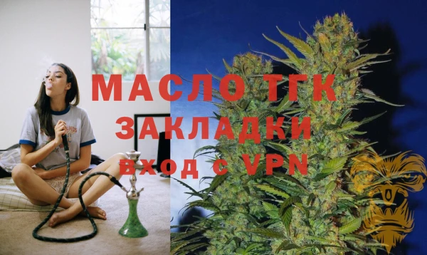 соль ск Елабуга