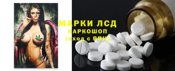 соль ск Елабуга