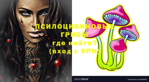метадон Елизово