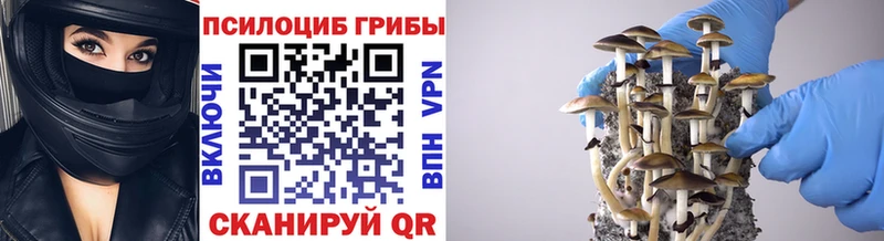 Галлюциногенные грибы ЛСД МЕГА Цивильск